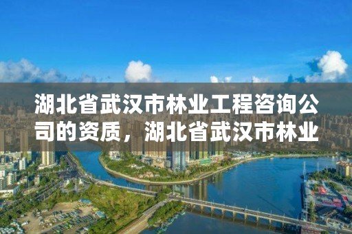 湖北省武汉市林业工程咨询公司的资质，湖北省武汉市林业工程咨询公司的资质是什么