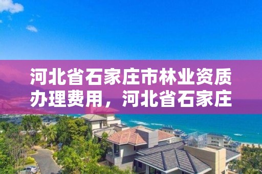 河北省石家庄市林业资质办理费用，河北省石家庄市林业资质办理费用是多少