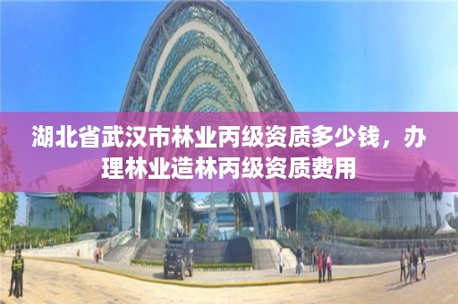湖北省武汉市林业丙级资质多少钱，办理林业造林丙级资质费用