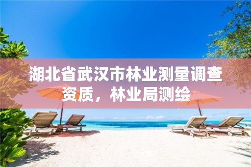 湖北省武汉市林业测量调查资质，林业局测绘