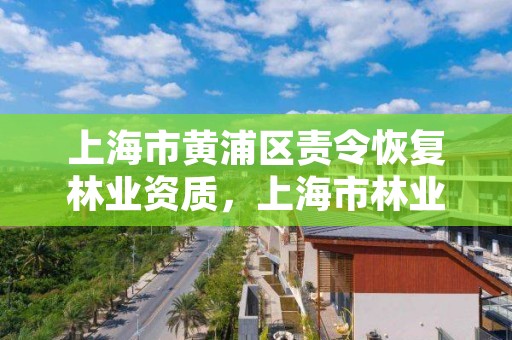 上海市黄浦区责令恢复林业资质,上海市林业局电话号码