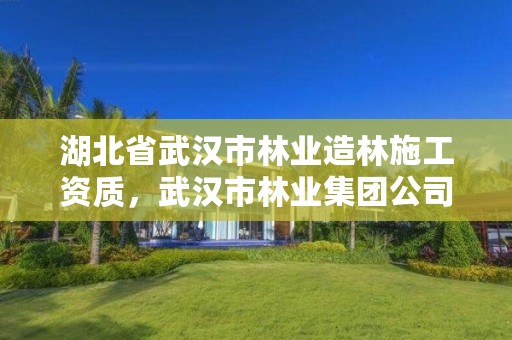 湖北省武汉市林业造林施工资质，武汉市林业集团公司官网