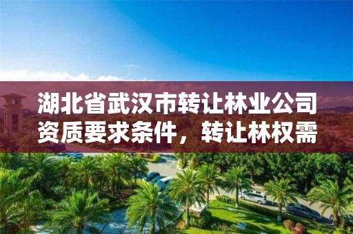 湖北省武汉市转让林业公司资质要求条件，转让林权需要缴纳什么税费