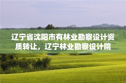 辽宁省沈阳市有林业勘察设计资质转让，辽宁林业勘察设计院