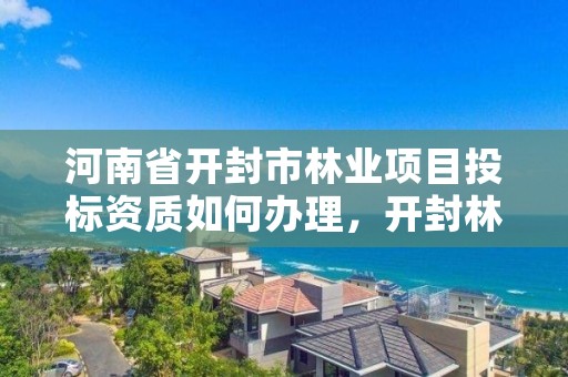 河南省开封市林业项目投标资质如何办理,开封林业局举报电话