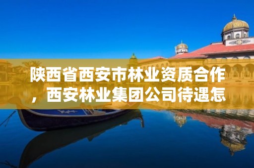 陕西省西安市林业资质合作,西安林业集团公司待遇怎么样
