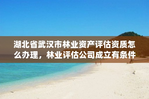 湖北省武汉市林业资产评估资质怎么办理，林业评估公司成立有条件