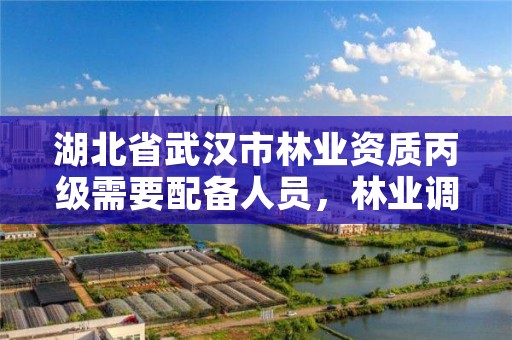 湖北省武汉市林业资质丙级需要配备人员，林业调查丙级资质转让