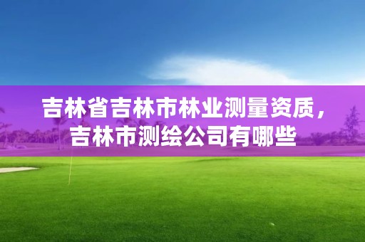 吉林省吉林市林业测量资质,吉林市测绘公司有哪些