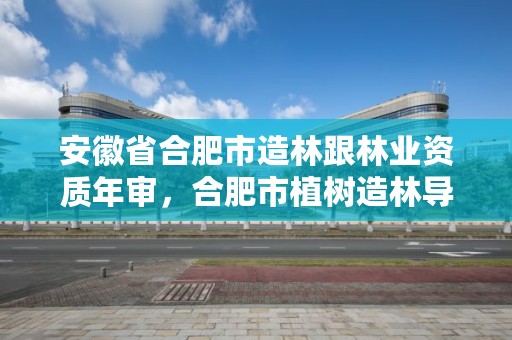 安徽省合肥市造林跟林业资质年审,合肥市植树造林导则