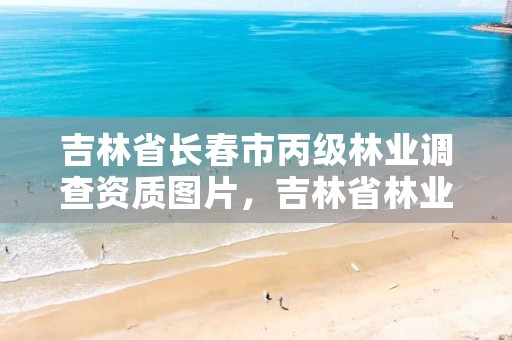 吉林省长春市丙级林业调查资质图片,吉林省林业鉴定机构