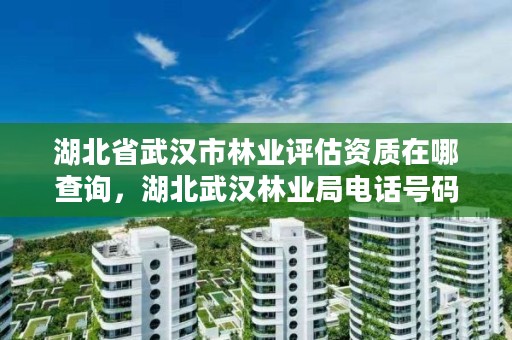 湖北省武汉市林业评估资质在哪查询，湖北武汉林业局电话号码