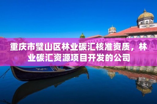 重庆市璧山区林业碳汇核准资质,林业碳汇资源项目开发的公司