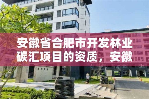 安徽省合肥市开发林业碳汇项目的资质,安徽省合肥市开发林业碳汇项目的资质是什么