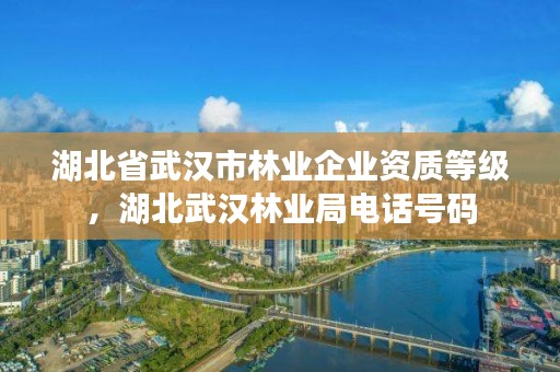 湖北省武汉市林业企业资质等级，湖北武汉林业局电话号码