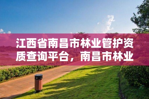 江西省南昌市林业管护资质查询平台,南昌市林业工业公司