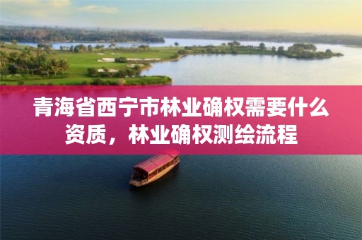 青海省西宁市林业确权需要什么资质,林业确权测绘流程