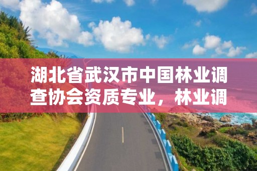 湖北省武汉市中国林业调查协会资质专业，林业调查研究院