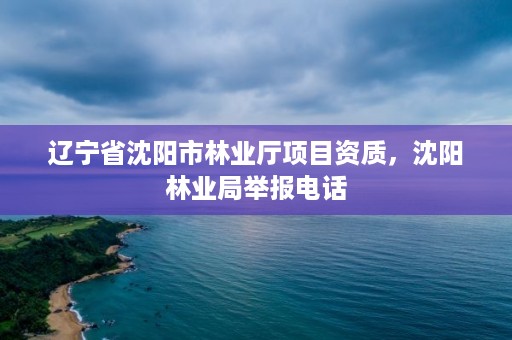 辽宁省沈阳市林业厅项目资质，沈阳林业局举报电话