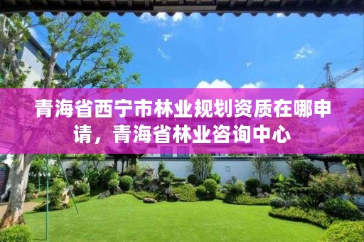 青海省西宁市林业规划资质在哪申请,青海省林业咨询中心