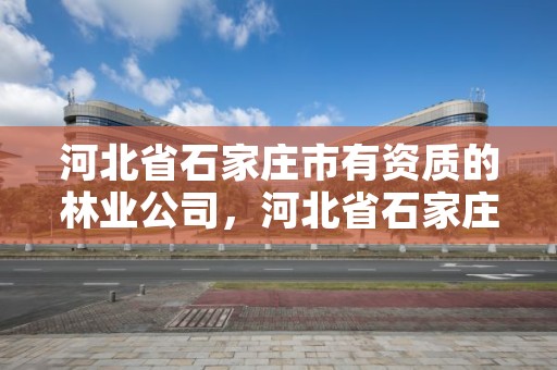 河北省石家庄市有资质的林业公司,河北省石家庄市有资质的林业公司有哪些