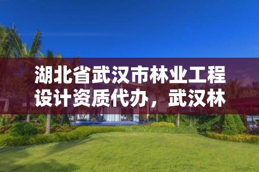 湖北省武汉市林业工程设计资质代办，武汉林业公司有哪些