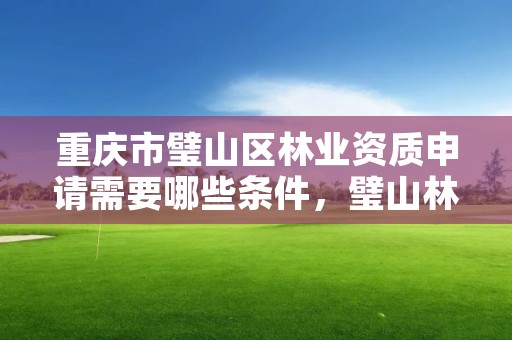 重庆市璧山区林业资质申请需要哪些条件,璧山林业局在哪里