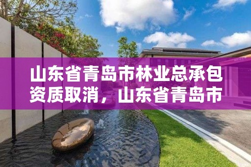山东省青岛市林业总承包资质取消,山东省青岛市林业总承包资质取消了吗