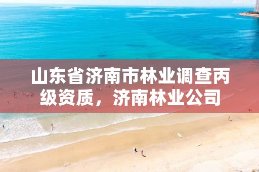 山东省济南市林业调查丙级资质,济南林业公司