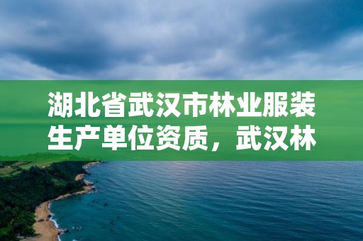 湖北省武汉市林业服装生产单位资质，武汉林业公司有哪些