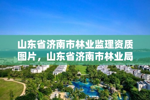 山东省济南市林业监理资质图片,山东省济南市林业局