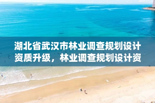 湖北省武汉市林业调查规划设计资质升级，林业调查规划设计资质查询