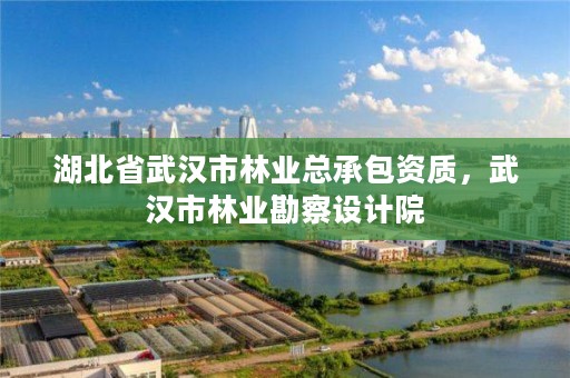 湖北省武汉市林业总承包资质，武汉市林业勘察设计院
