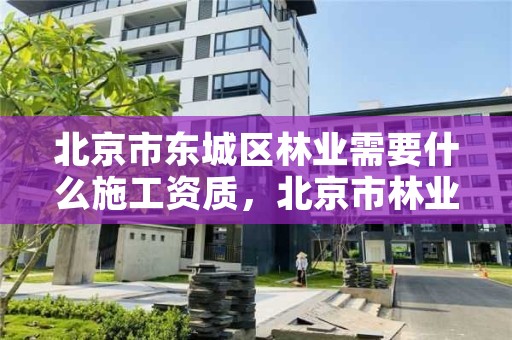 北京市东城区林业需要什么施工资质，北京市林业建筑工程有限公司