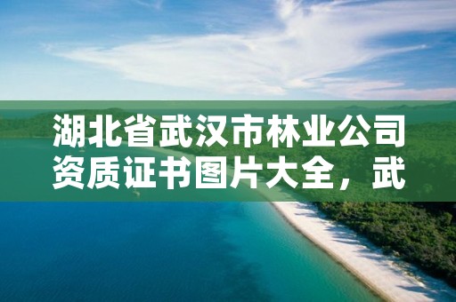湖北省武汉市林业公司资质证书图片大全，武汉林业发展公司