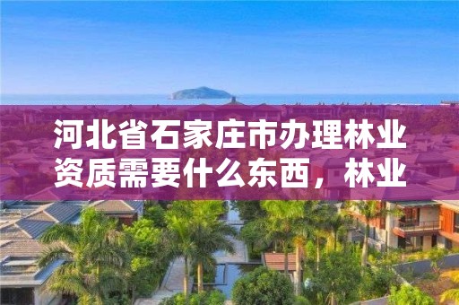 河北省石家庄市办理林业资质需要什么东西,林业证在哪里办