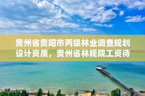 贵州省贵阳市丙级林业调查规划设计资质，贵州省林规院工资待遇