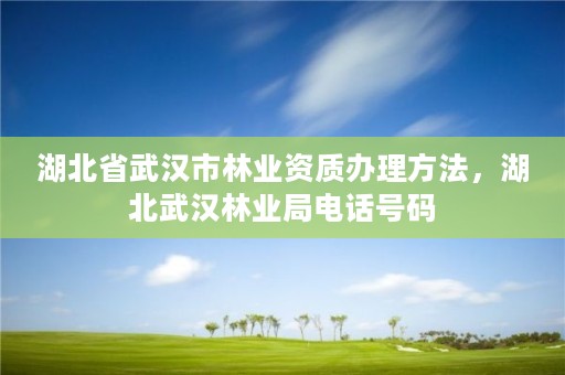 湖北省武汉市林业资质办理方法，湖北武汉林业局电话号码