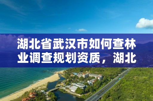 湖北省武汉市如何查林业调查规划资质，湖北省林业调查规划院待遇怎么样
