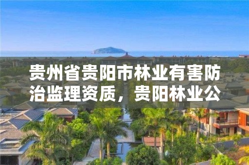 贵州省贵阳市林业有害防治监理资质,贵阳林业公司