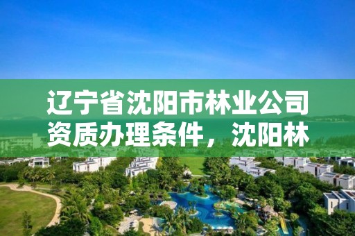 辽宁省沈阳市林业公司资质办理条件，沈阳林业厅