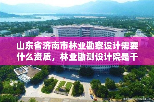 山东省济南市林业勘察设计需要什么资质,林业勘测设计院是干嘛的