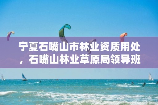 宁夏石嘴山市林业资质用处,石嘴山林业草原局领导班子