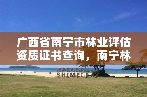广西省南宁市林业评估资质证书查询,南宁林权交易中心