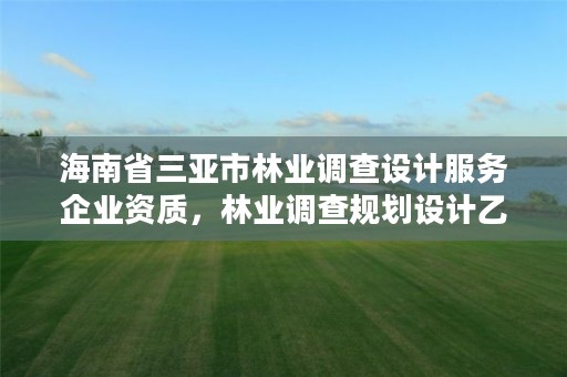 海南省三亚市林业调查设计服务企业资质,林业调查规划设计乙级资质公司