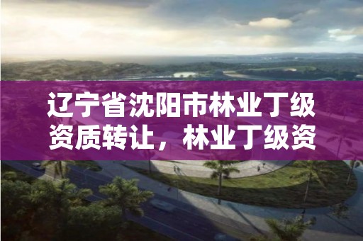 辽宁省沈阳市林业丁级资质转让，林业丁级资质业务范围