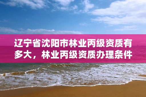 辽宁省沈阳市林业丙级资质有多大，林业丙级资质办理条件