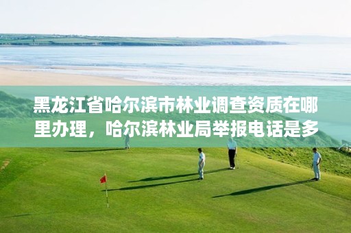 黑龙江省哈尔滨市林业调查资质在哪里办理,哈尔滨林业局举报电话是多少