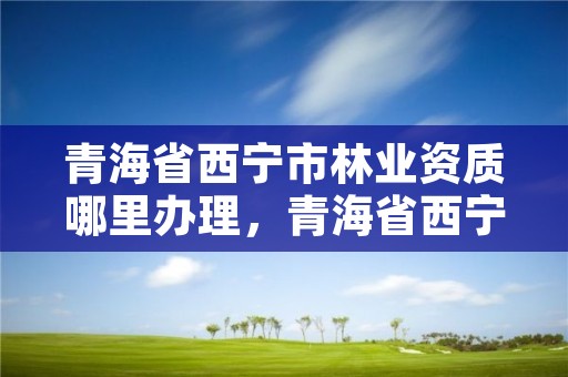 青海省西宁市林业资质哪里办理,青海省西宁市林业资质哪里办理最快