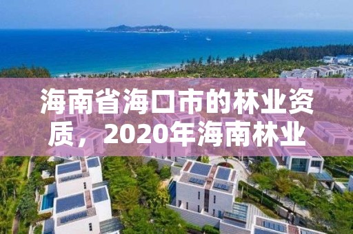 海南省海口市的林业资质,2020年海南林业政策